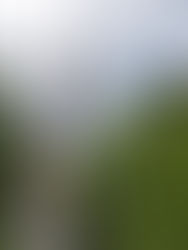 Le plus grand totem du monde !