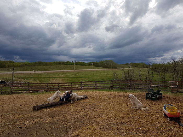 Marine et ses nouveaux amis...
