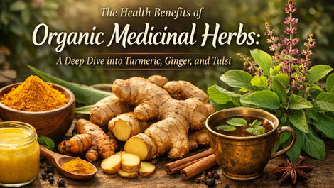 Organic turmeric root and powder, fresh ginger, and tulsi leaves arranged on a rustic wooden table with herbal tea, representing the health benefits of medicinal herbs.