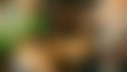 Person in apron sprinkles spice over salad in sunlit kitchen with herb plants and jars. Warm, rustic setting.