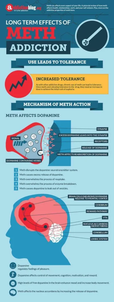 meth1chart-388x1030.jpg.webp