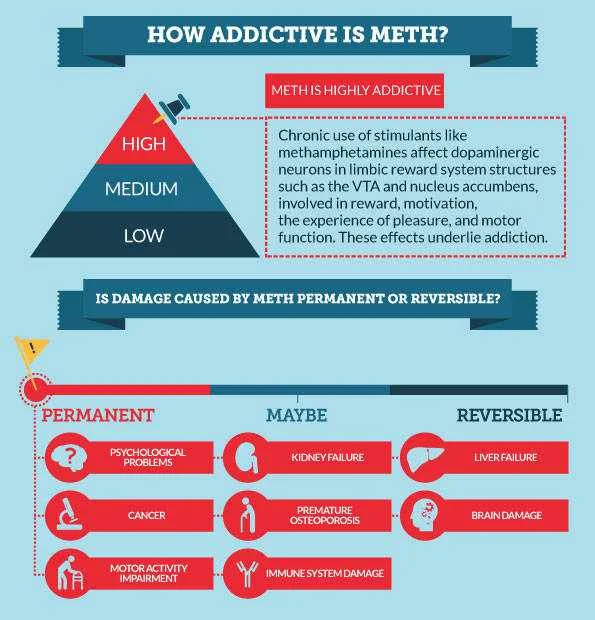 meth2chart.jpg (1).webp