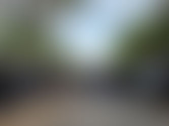 Winner do Brasil | Assembleia é realizada