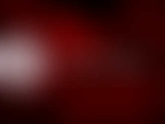 FITIASP elege nova diretoria para o mandato de 2025 a 2029