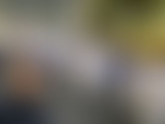 MSD Ravan | Assembleia é realizada 