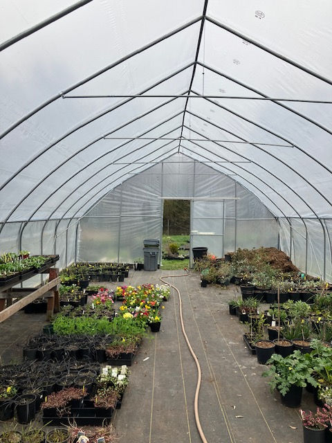 Thumbnail: S20 frame