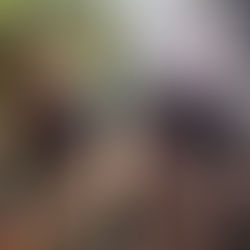 How I Gained 10kgs in 7 months eating 5 eggs a Day!