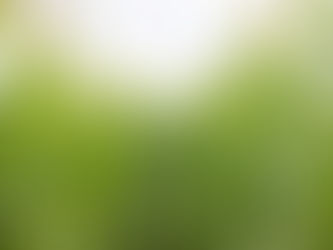 Bayer Kuzindua Kampeni ya Kuwahamasisha Wakulima Kuhakiki Mbegu Halisi