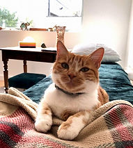 PHOTO-2023-09-27-12-51-34 (7)_edited.jpg