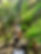 1547CF89-C68C-4231-8B8C-9D6D8610F165.jpeg