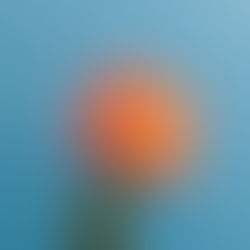 The Summer Set - Blossom