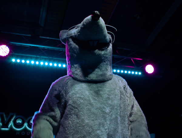Franklin Jonas making a surprise performance opening for Jake Miller in San Diego.