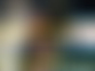 Winnipeg Pro Wrestling: Rumble at the Burt 3