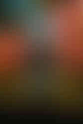 The Chicks live on stage in Winnipeg, MB on September 11, 2023 at the Canada Life Centre.