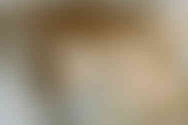 The Strumbellas made their return to Winnipeg at the Burt Block Party.