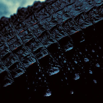 Close-up of dark, textured reptile skin pattern, possibly a crocodile, with a mysterious and rugged mood. Background is blurred.