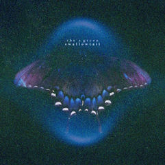 Glowing blue-purple swallowtail butterfly on dark background, with small text reading the green swallowtail.