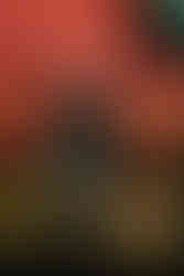 The Chicks live on stage in Winnipeg, MB on September 11, 2023 at the Canada Life Centre.