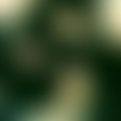 The four members of alt-grunge band Return to Dust lying on the ground, heads together in a circle, looking upward. The image has a greenish-yellow tint with a relaxed mood.
