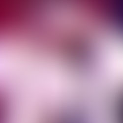 Annabel Oreste performing at the 2026 edition of Festival du Voyageur in Winnipeg.