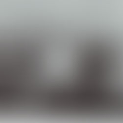 Interview With The Phil Firetog Trio