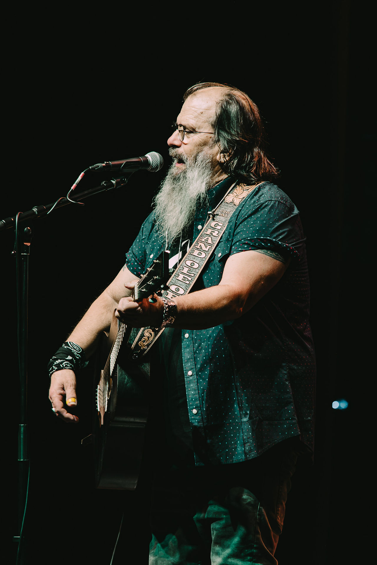 Steve Earle
