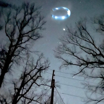 Night sky with bare trees and a glowing ring of lights above. Stars are visible, creating a mysterious and atmospheric scene.