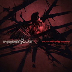 Dark red album cover with a shadowy figure, cracked-glass shards, and text From First to Last and no one sees hurting anymore