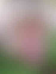 Bridesmaids walking with parasols in soft pink and floral dresses, highlighting romantic spring bridal fashion trends.