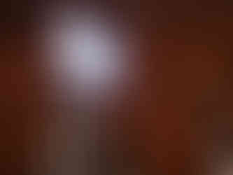 3D fan in motion at an event