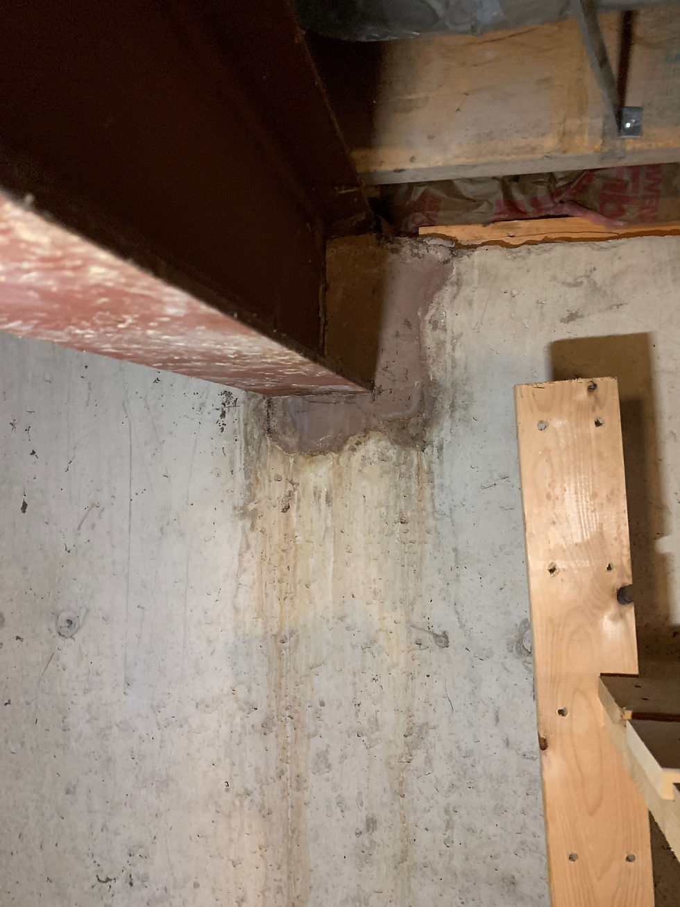 Interior basement corner showing active sill plate seepage, with heavy white efflorescence and mineral deposits streaming down a poured concrete foundation wall from the exact point where the wood rim joist meets the top of the concrete — the classic entry point for sill plate water infiltration. Pink fiberglass insulation is visible between the floor joists above.