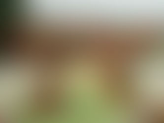 As Featured in Modern Luxury: Wedicity Wedding Planning & Design