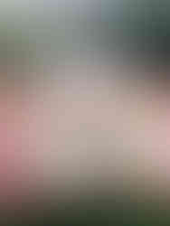 Bride posing with her bridesmaids in pastel dresses holding white parasols, capturing whimsical garden-inspired bridal fashion.