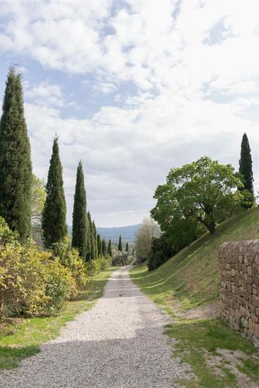 A long gravel pathway lined with tall cypress trees at Castello di Vicarello, showcasing the Tuscan countryside setting ideal for Italy wedding venues.