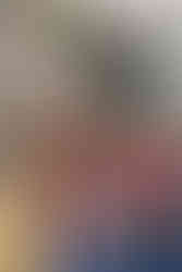 Guests at the Sunset Soirée