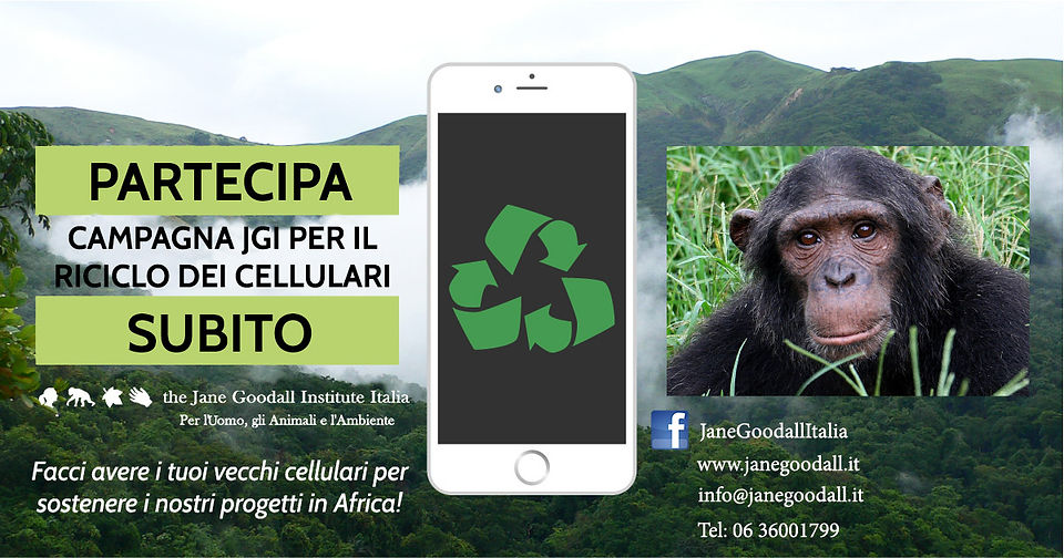 [ITA MobileRecycling_2017_GENERAL_campaign_A