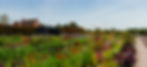 _DSC0400-Pano.jpg