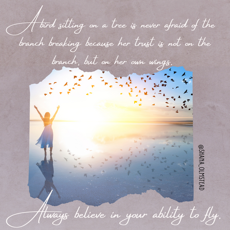 Social Media Content for Shana Olstrom