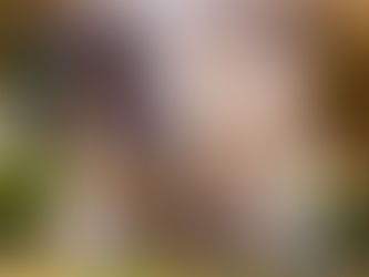 A Startle, a Flashback, and a Deeper Understanding of Reactive Dogs