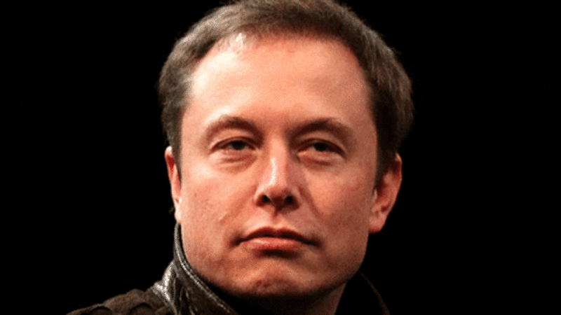 elon gif.gif