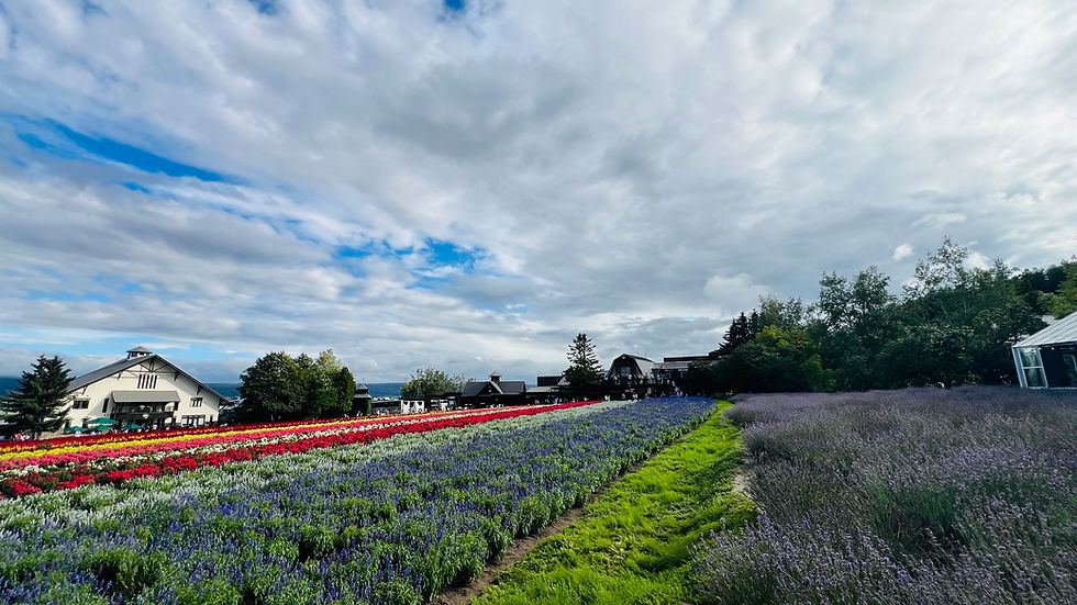 A Guide to Hokkaido in Summer