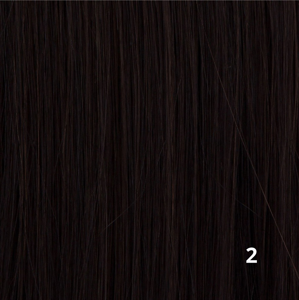 Thumbnail: Sepia Premiere Silky