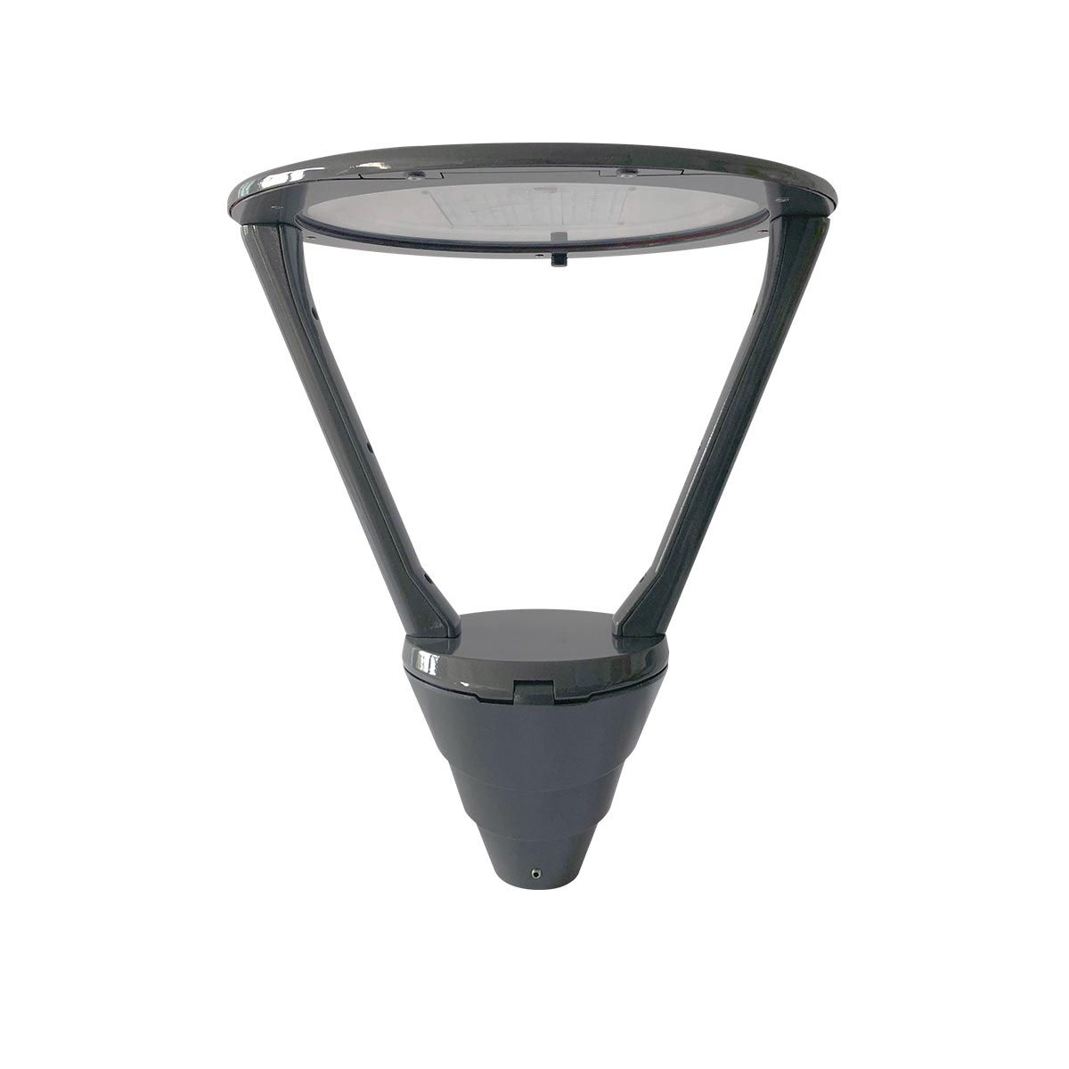 Callisti | FPH - 111-1 & Selena | FPH - 112