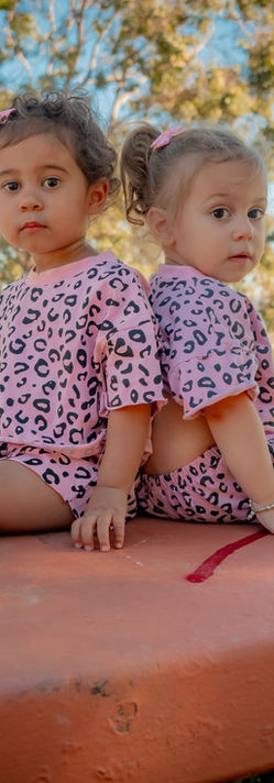 Picnic Cheetahs