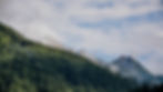 Green trees and mountains representing a green future