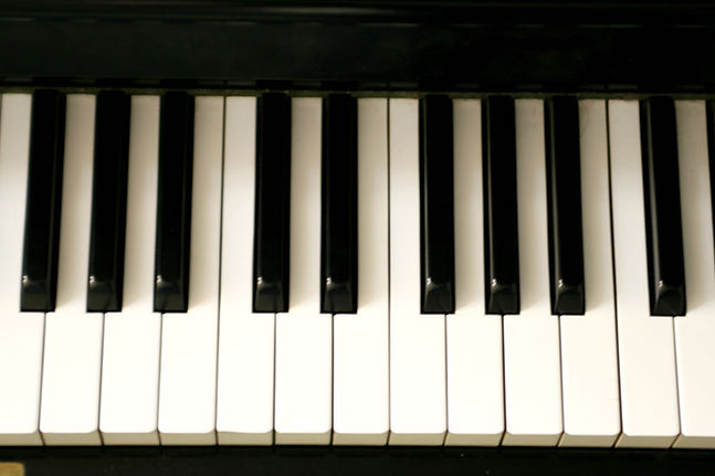 Learn to play the piano.