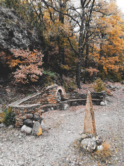 La Font dels Capellans