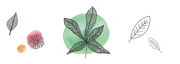 leaf footer 5.jpg