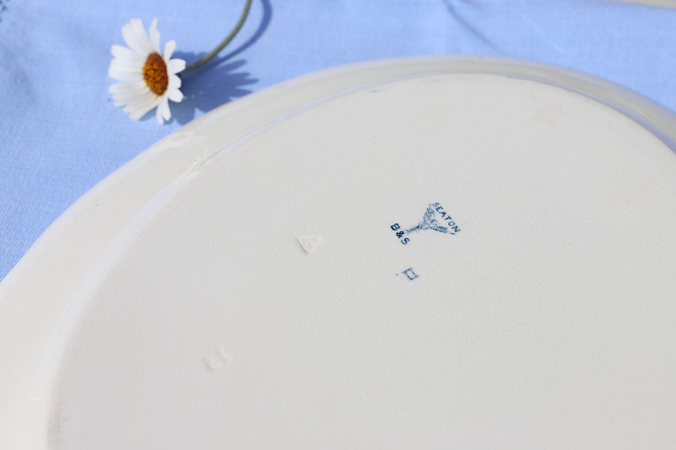 Thumbnail: Nineteenth-century English ironstone oval dish