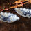 Thumbnail: A round dish and a pair of Sarreguemines raviers